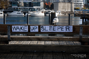 wake-up
