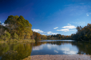 untitled-beebe-lake