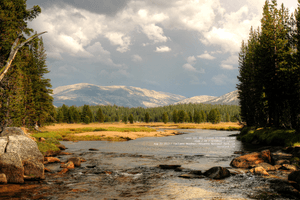 untitled-in-tuolumne-meadows