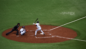 true-slugger